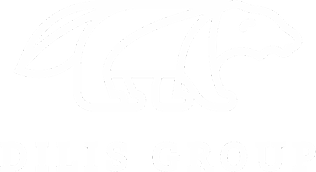 Dilis Group
